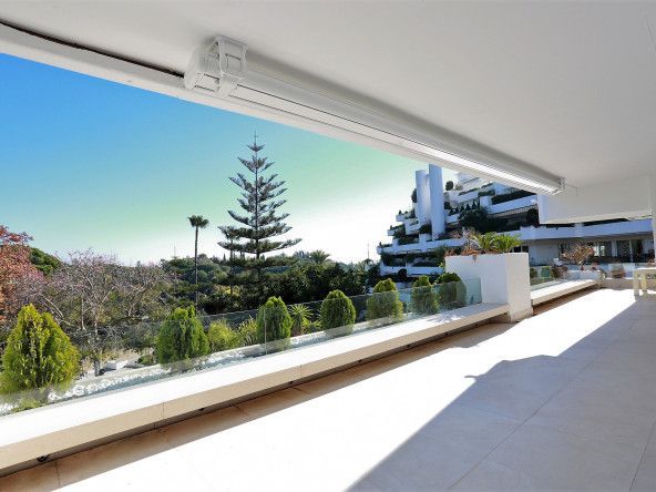 7 TERRAZA