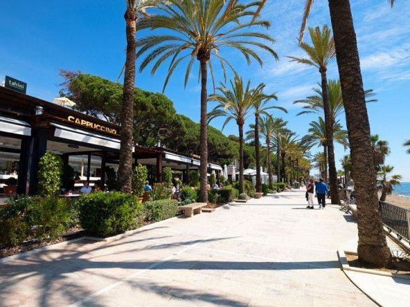Jardines del Mediterraneo for sale 30