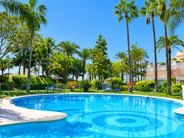 Piscina tropical bajo palmeras