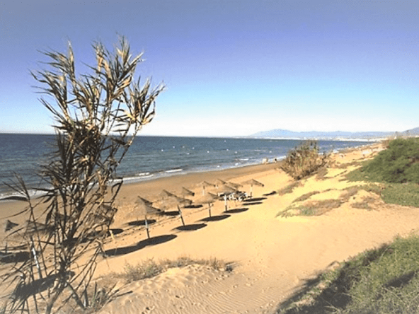 alicate-playa-venta