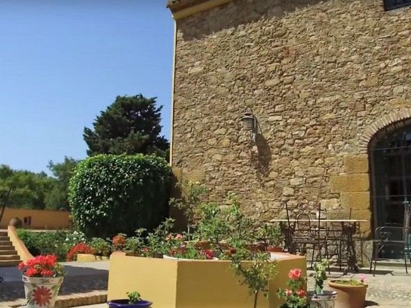 sotogrande-for-sale-horse